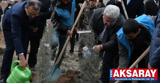 7 BİN 500 FİDAN TOPRAKLA BULUŞTURULDU Adalet Ormanı oluşuyor