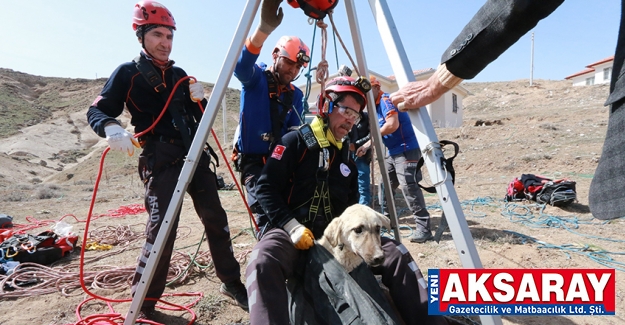 Aksaray’da kuyuya düşen köpeği AFAD ekipleri kurtardı