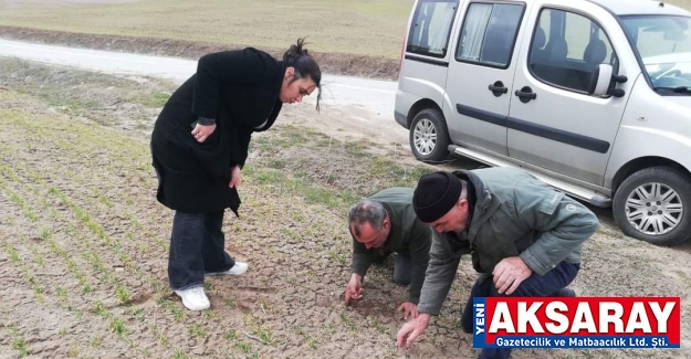 Tarım Danışmanları sahaya indi