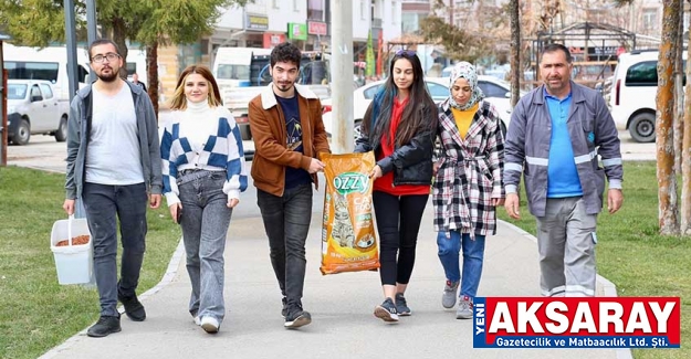Üniversite öğrencileri sokak hayvanlarını besledi