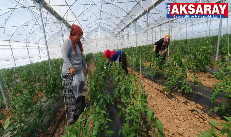 Aşıklı markası ile kadınlarımız üretim yapıyor