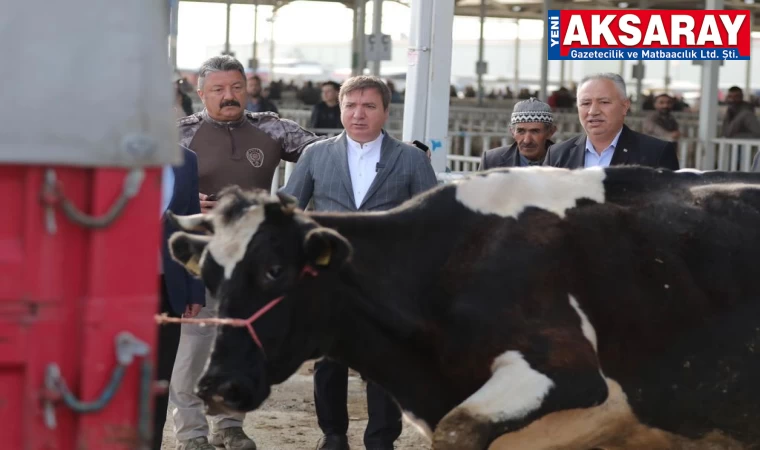 Kurbanlık çok, son güne bırakmayın