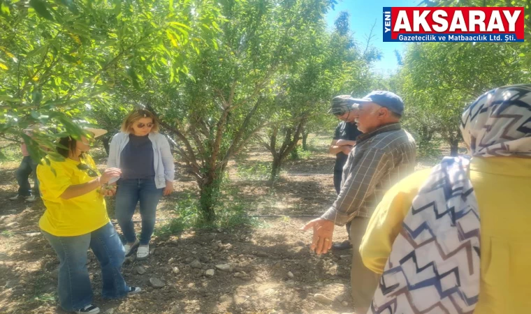 Badem yetiştirme eğitimi verildi