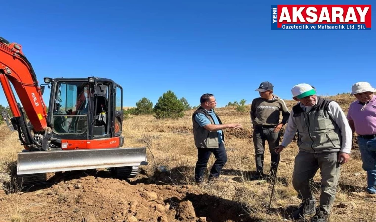 Aksaray’ın her yeri ağaçlandırılacak 