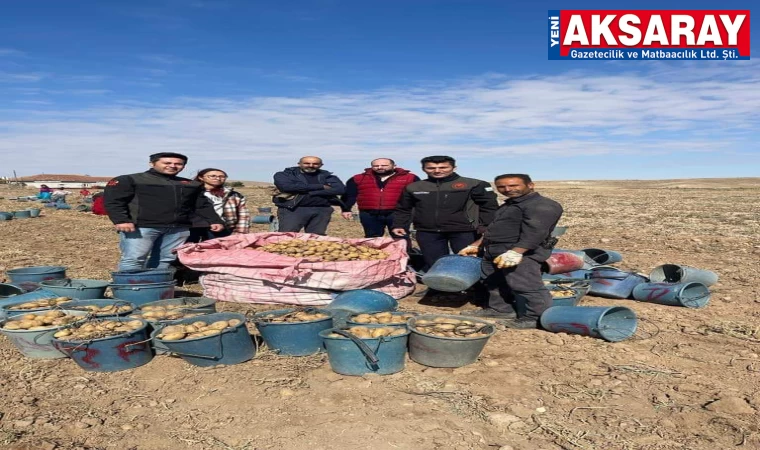 Kışlık patates hasadı başladı