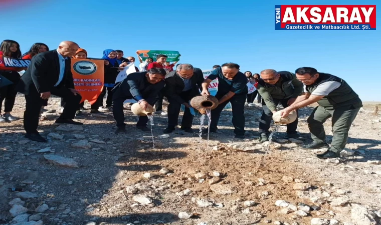 KUŞ CENNETİ ÇÖLE DÖNDÜ Çevreciler sahip çıktı