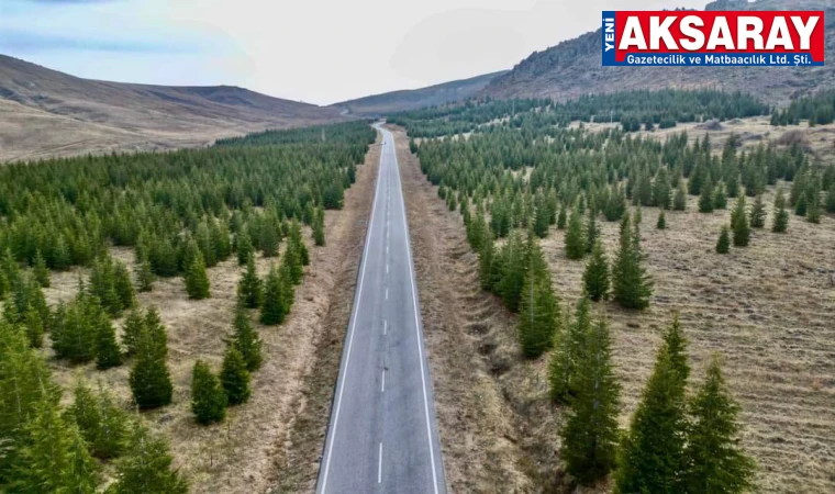 Ağaçlandırmada gurur verici tablo