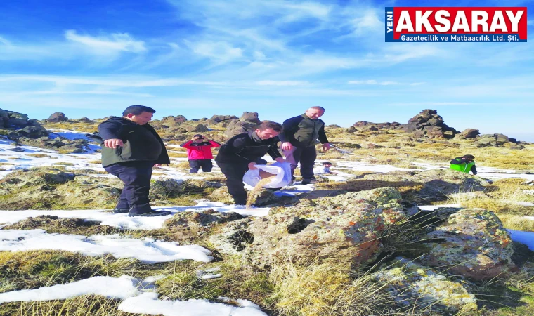 Doğa yürüyüşünde yaban hayvanlarını unutmadılar