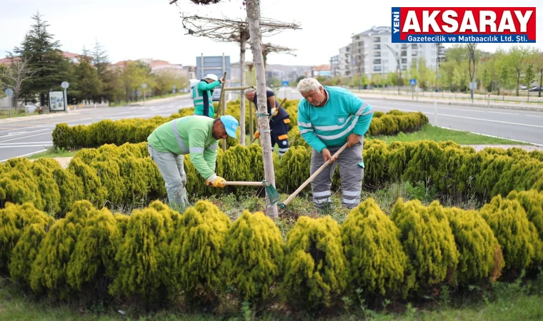 PARKLAR, MİLLET BAHÇELERİ, HATIRA ORMANLARI VE PEYZAJ DÜZENLEMELERİ Yeşil alan varlığını artırıyor