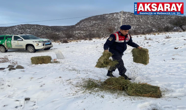 Jandarma da yaban hayatına destek verdi       