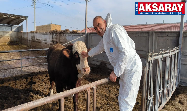 ‘KOLAY OLANI SEÇ AŞILAMAYA GEÇ’ Şap hastalığına karşı etkin mücadele başlatıldı