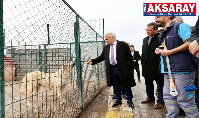 Sahipsiz hayvanlar bir çatı altında toplanacak