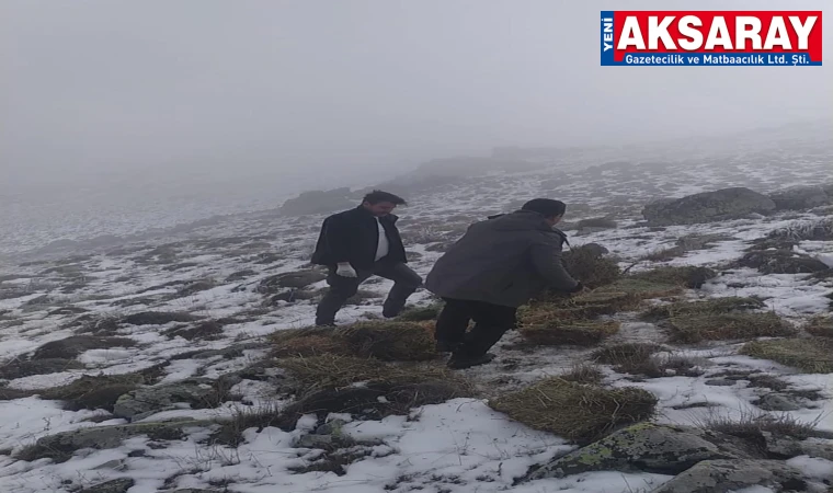 Yaban hayatının canlılarına destek veriliyor