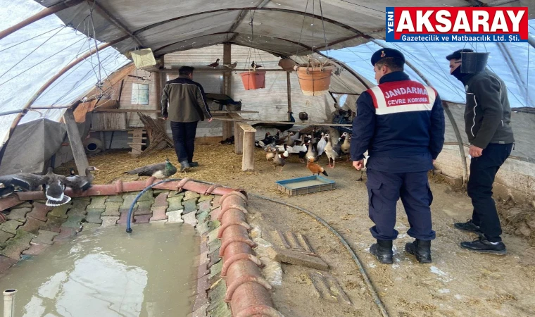 Yasaklı hayvanları besleyene yüklü ceza kesildi