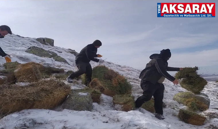 Yiyecek bulmakta zorlanan yaban hayvanları unutulmadı