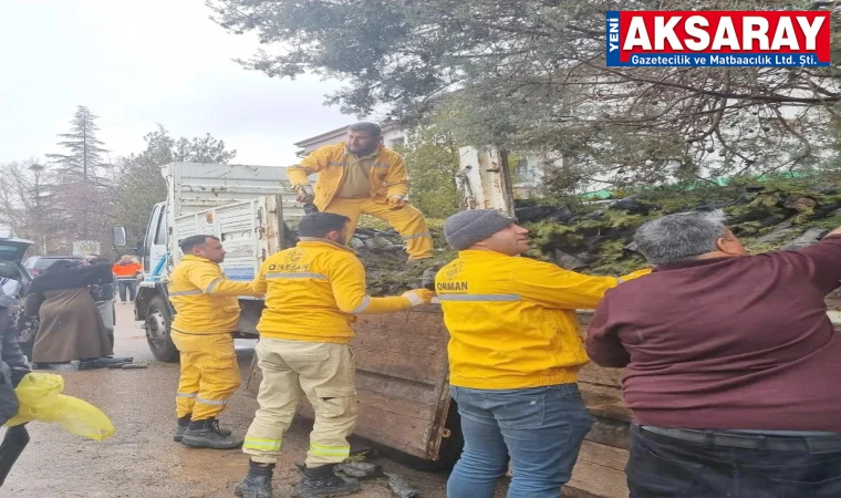 Fidanlar ücretsiz dağıtıldı