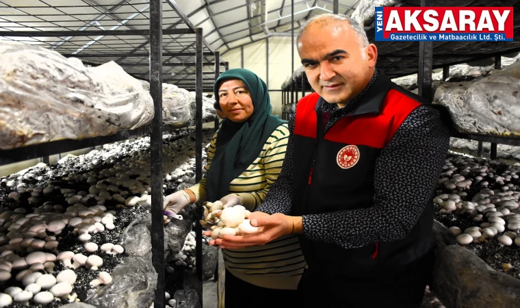 KADIN GİRİŞİMCİNİN BAŞARISI Devlet desteği ile mantar üretimi yapıyor