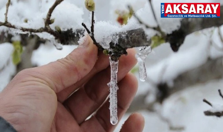 METEOROLOJİ UYARDI  Aksaray ve çevresinde zirai don uyarısı