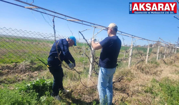 Budama eğitim verildi