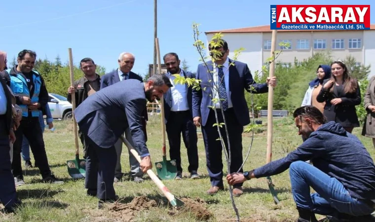 Bahar şenliklerinde fidan diktiler