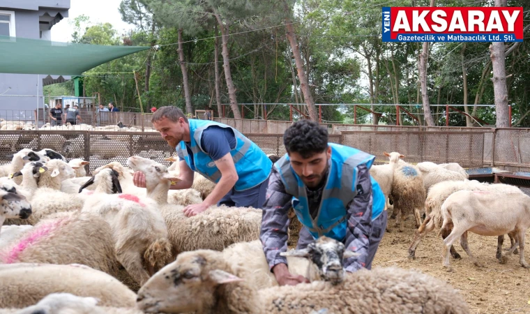 Kurban ibadetiyle yardımlaşma ve dayanışma bilinci artıyor