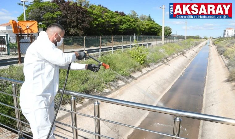 Zararlı böceklere karşı ilaçlama yapılıyor