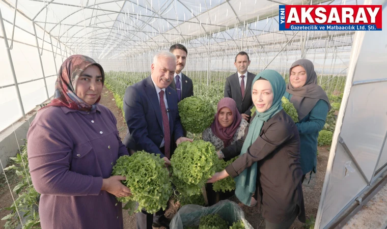 48 ÜYESİ VAR Kadın kooperatifinin örnek başarısı