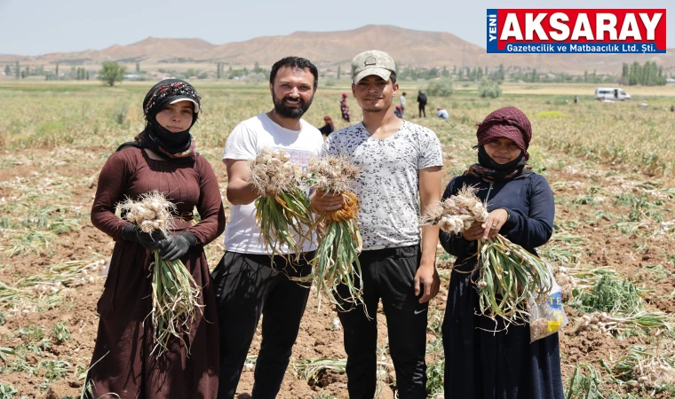  Sarımsaklarımız Rusya ve Almanya yolcusu