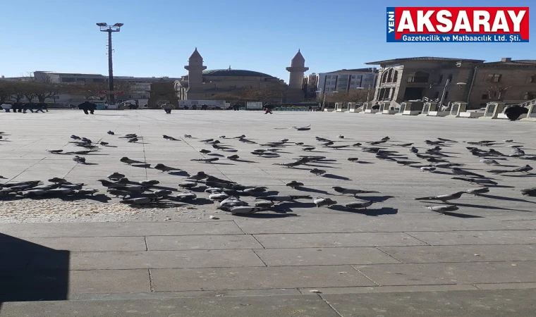 SICAKLIK UYARISI Bu saatler arasında dışarı çıkmayın