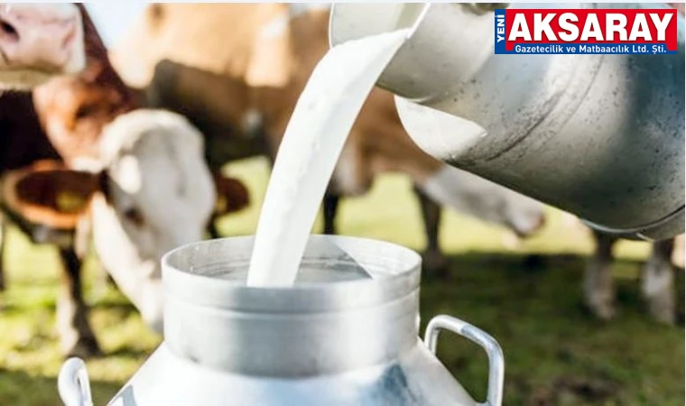 Ticari süt işletmelerince 1 milyon tona yakın inek sütü toplandı