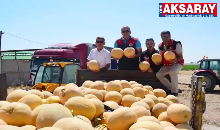 TUZ GÖLÜ HAVZASI'NDA KAVUN VE DOMATES ÜRETİMİ Kurak bölgede su tasarrufu sağlandı