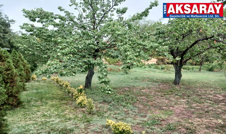 Yağmur bahçelere ilaç gibi geldi