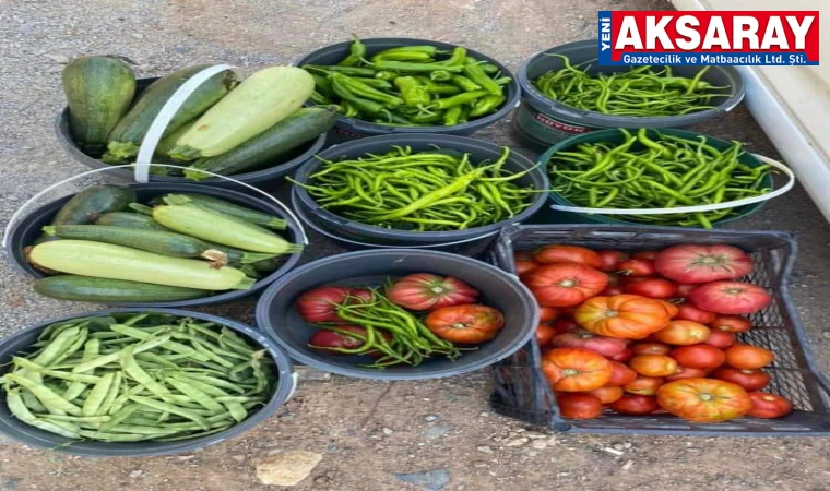 Yerli üründe son mahsuller