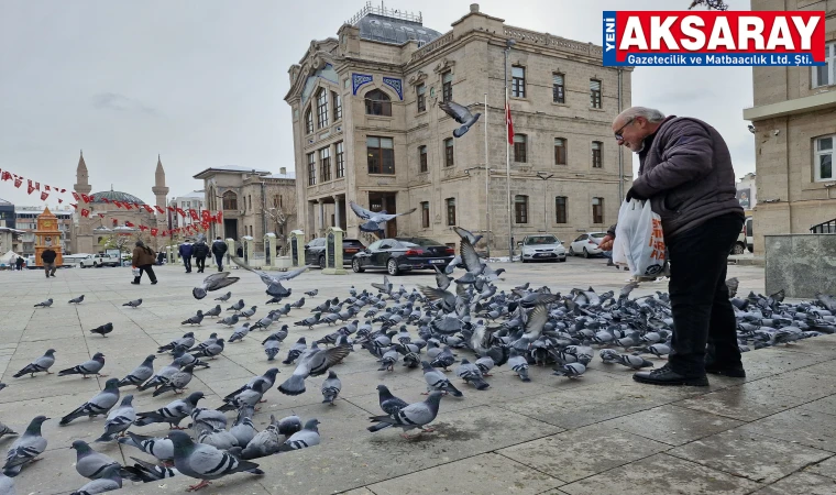 Kuşları besleyen emekli öğretmen yürekleri ısıttı