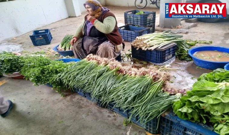 Seralarda yetişen yeşillikler en çok ilgi gören ürünlerin başında geliyor