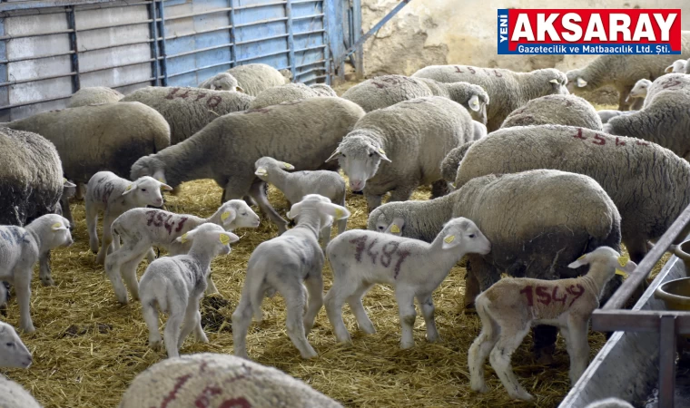 KOP, Tür­ki­ye’nin yü­nü­ne sahip çı­kı­yor