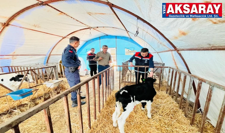 Aşılama çalışmalarına katıldı