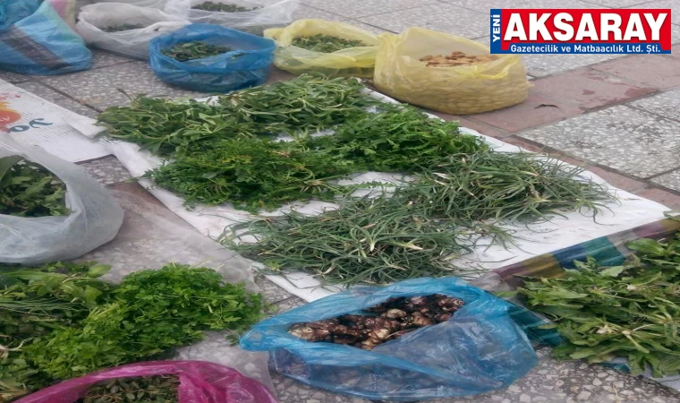 ÇITLIK DEYİP GEÇMEYİN: Faydası saymakla bitmiyor