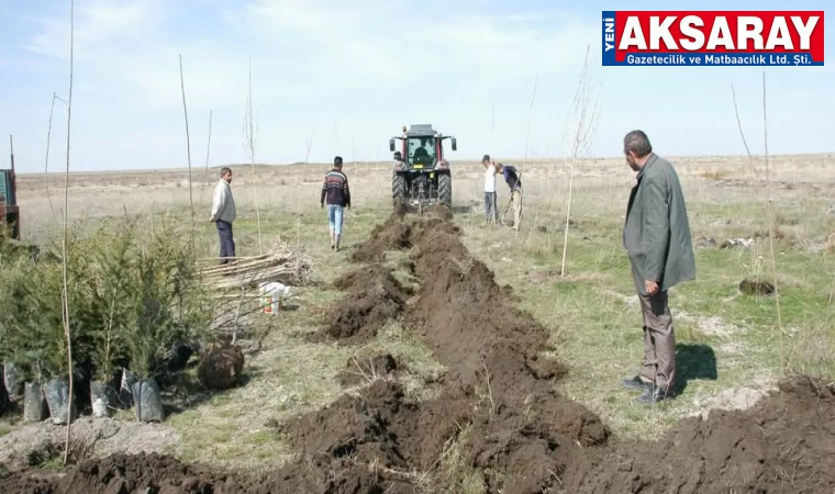 Eskil’de Vefa Ormanı projesi başlıyor