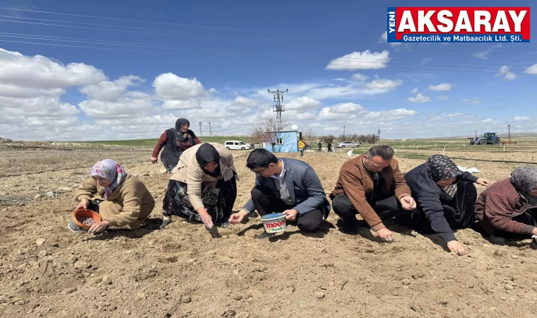 Güzelyurt Kaymakamı Muammer Yetiş soğan ekti