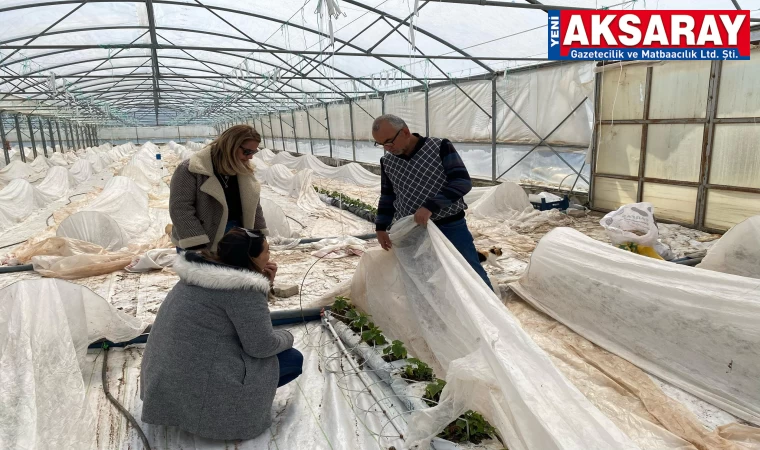 Hasar tespit çalışmaları sürüyor