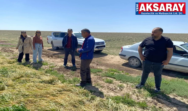 Mağdur çiftçiler ziyaret edildi