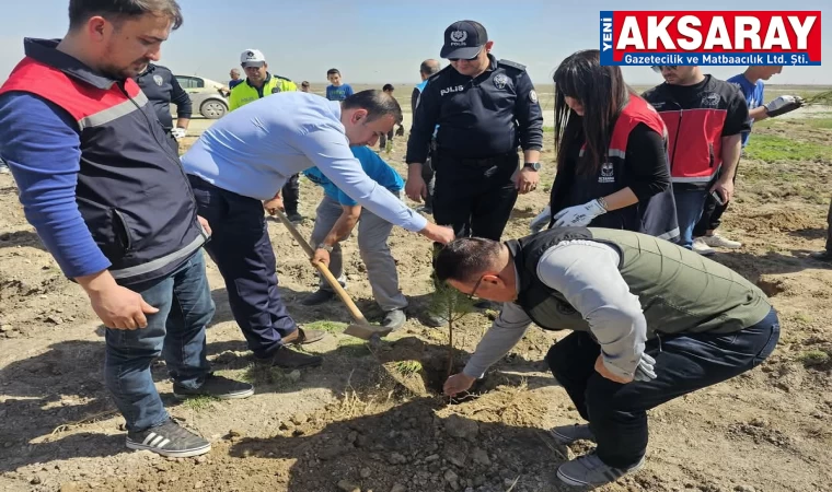 Sultanhanı ilçesinde fidan dikim günü