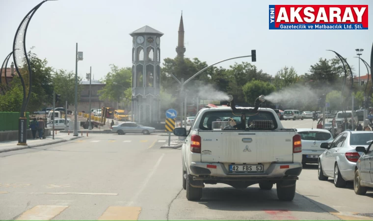 Cadde ve sokaklar gül koktu