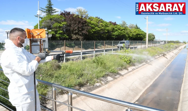 Haşereta karşı ilaçlamalar başladı