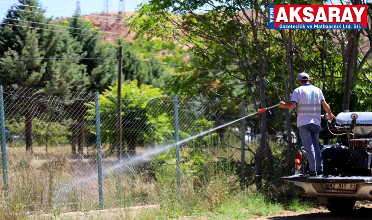 Haşereye karşı ilaçlama çalışmaları yoğunlaştırıldı