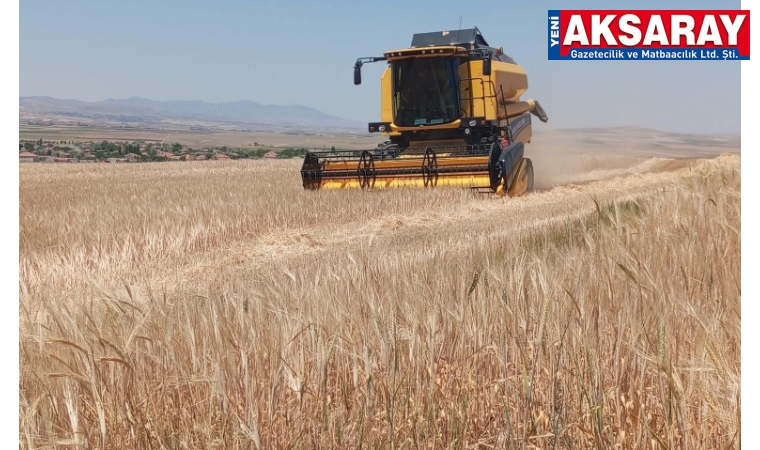 Tarlalarda sezonun ilk ürünü alındı