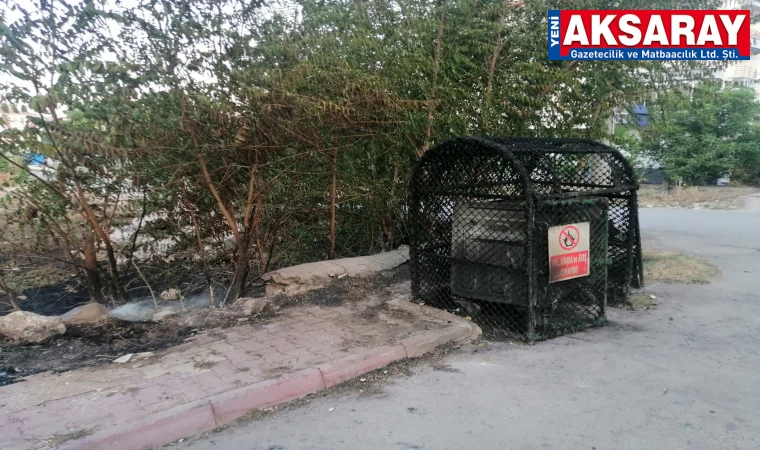 Çevre magandaları durmuyor