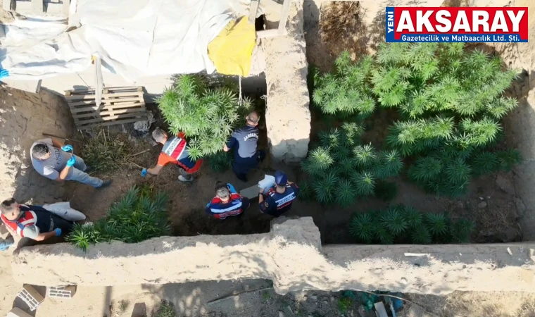DRON DESTEKLİ UYUŞTURUCU OPERASYONU Bahçesinden 301 kök kenevir çıktı