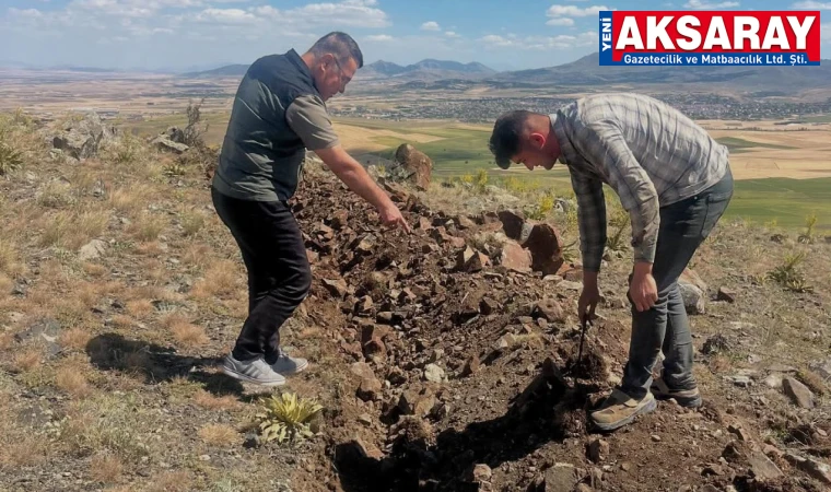 Fidan dikimleri için arazi hazırlığı başladı